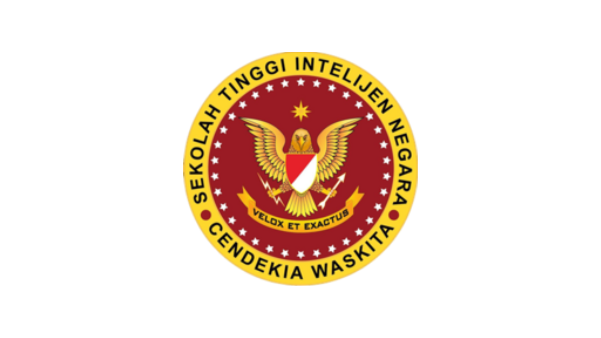 PENGUMUMAN PENERIMAAN STIN 2025 ‼️